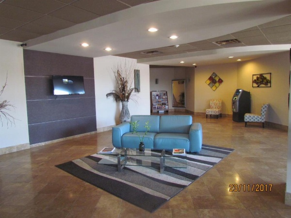 Suite Dreams Hotel image 10