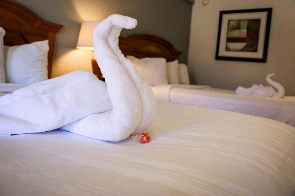 Suite Dreams Hotel image 16