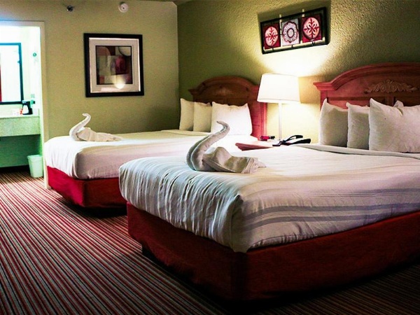 Suite Dreams Hotel image 5